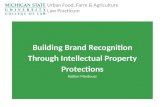 8   BFUG Conference - IP Brand Protection