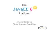 The Java EE 6 platform
