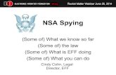 NSA Mass Spying and the Law