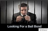 Looking for Bail Bond in N.Y.S: David Jakab Bail Bond