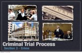 Criminal Trial Process