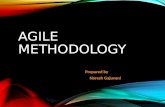 Agile Methodology and Tools