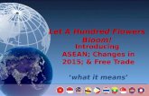 Princes, Ambassadors and the Future of Southeast Asia: ASEAN, 2015 and Free Trade
