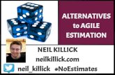 Alternatives to Agile Estimation - A Team Perspective