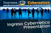 What is Ingreso Cybernetico
