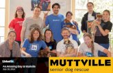 LinkedIn July 2014 InDay at Muttville