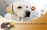 How to select a pet store online