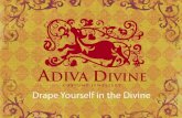 Adiva Divine Training Presentation