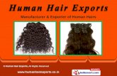 Human Hair Exports Tamil Nadu India