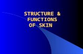 Skin & Skin Infections
