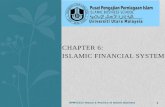Chapter 6: Islamic Financial System
