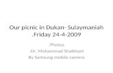 Our Picnic In Dukan 24409.