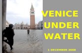 Venecia Bajo El Agua