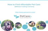 How to Find Affordable Pet Care (Without Cutting Corners)