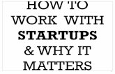 A Guide to Working with Startups at The Media Kitchen