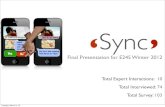 Sync E245 Final Presentation