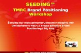 TMRC Seeding Workshop Brief Intro