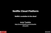 Netflix presents at MassTLC Cloud Summit 2013