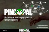 PingPal ephemeral messaging for enterprise