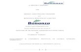 36124320 vaibhav-project-report-on-bonanza-portfolio (2)
