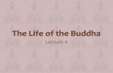 Life of the buddha
