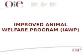OIE animal welfare killing of poultry for disease control