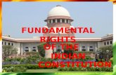 Fundamental rights presentation