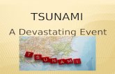 Tsunami Pictures in Japan