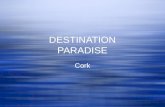 Destination Cork, by Cristina Fernández, A2H