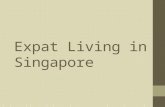 Expat living in singapore
