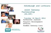 RNIB Scotland and Deaf Action: Innovation in improving outcomes for people who have a visual or hearing loss E12