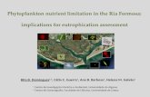 Phytoplankton nutrient limitation in the Ria Formosa