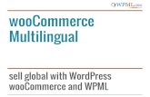 wooCommerce Multilingual