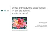 What Constitutes Excellence In An Eteaching Environment2
