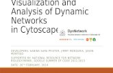 Visualization and Analysis of Dynamic Networks