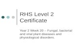 Rhs level 2 certificate year 2 week 20