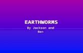 Earthworms by jackson and ben