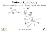Network biology: Large-scale biomedical data and text mining
