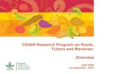 GRM 2013: CGIAR Research Program on Roots, Tubers and Bananas – M Gedil