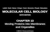 Molecular Cell Biology Lodish 6th.ppt - Chapter 13   moving proteins into membranes and organelles