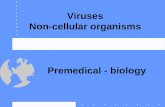 2 premedical viruses_a