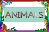 Animals classification