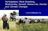 Participatory Plant Breeding, Biodiversity, Genetic Resources, Gender and Climate Changes