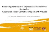 Tom Calma: 'Ninti One and its involvement in the AFCMP'. Reducing feral camel impacts across remote Australia: Australian Feral Camel Management Project Session 1 - From science to