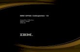 IBM SPSS Categories 19