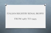 Italian Registry Renal Biopsy from 1987 to 1995
