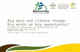 Big data and climate change