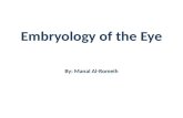 Embryology of the eye