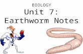 Biology unit 7 organ systems worm notes