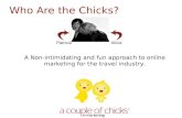 Online Marketing Experts A Couple of Chicks - The Story